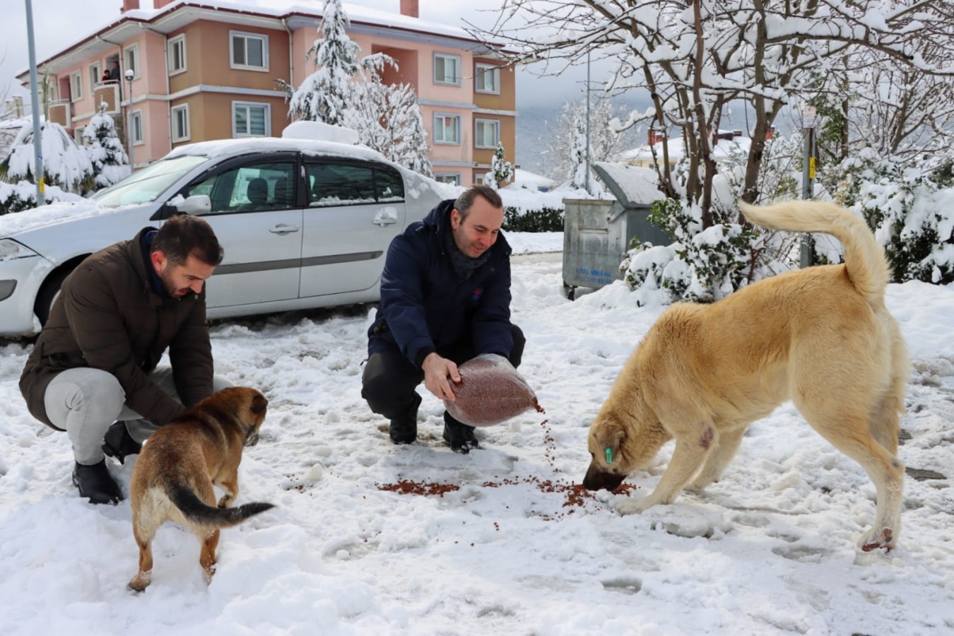 1 YILDA 41 BİN KG MAMA DAĞITILDI