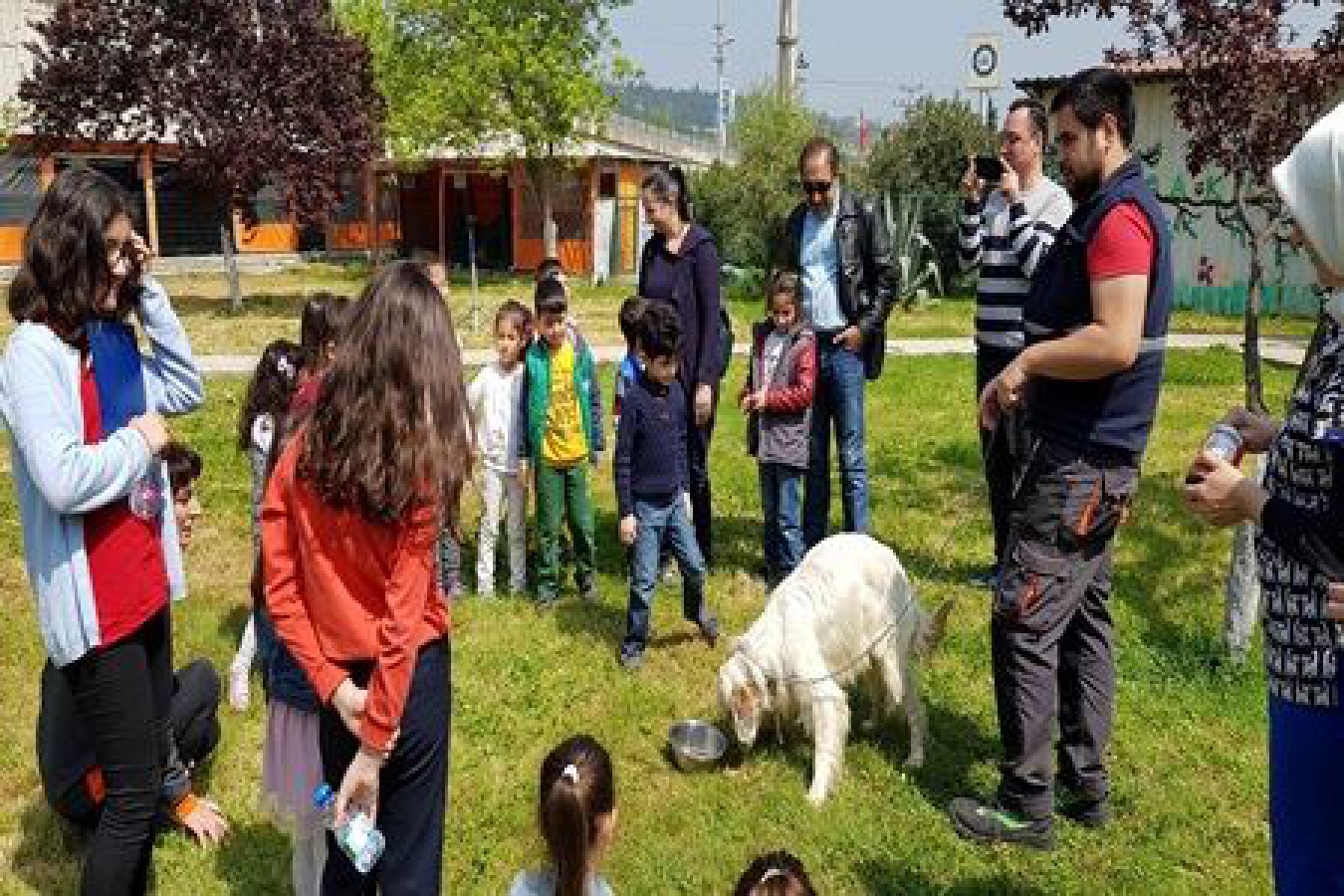 127 SOKAK HAYVANI SAHİPLENDİRİLDİ