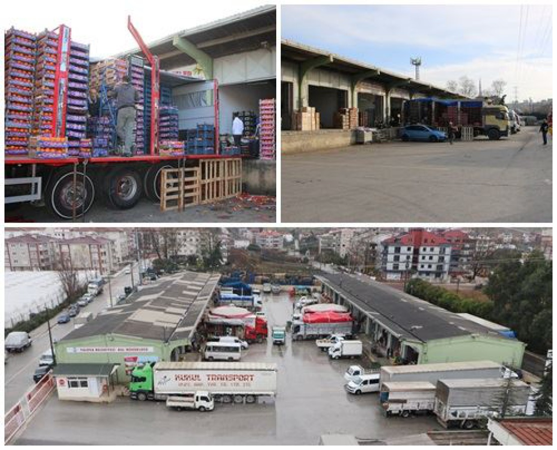 2020 YILINDA TOPLAM 18 BİN TON ARTIŞ GERÇEKLEŞTİ