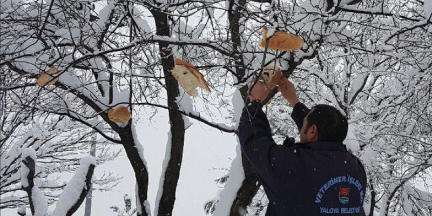 45 FARKLI NOKTAYA 500 KİLO MAMA BIRAKILDI