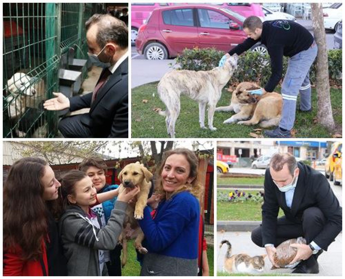 7219 İHBAR DEĞERLENDİRİLDİ