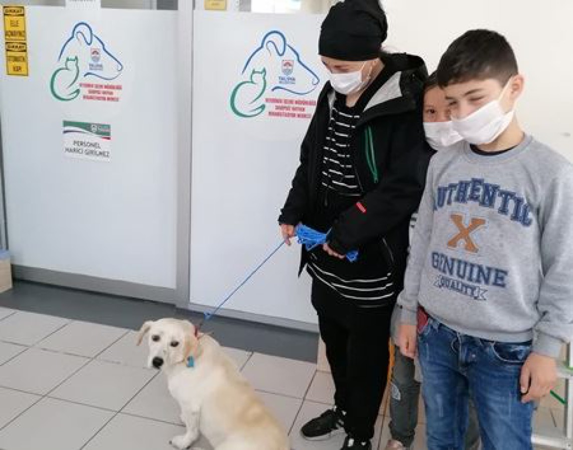 83 SOKAK HAYVANI SAHİPLENDİRİLDİ