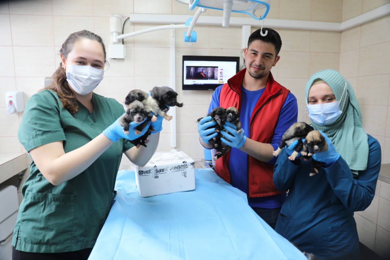 ANNESİZ KALAN YAVRU KÖPEKLERE YALOVA BELEDİYESİ KUCAK AÇTI