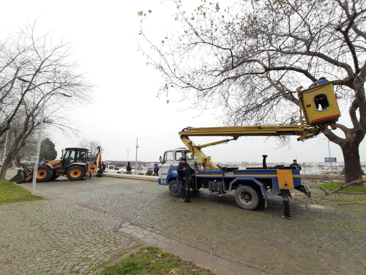 BADGODESBERG VE ÇEVRESİNE KAPSAMLI BAKIM YAPILDI