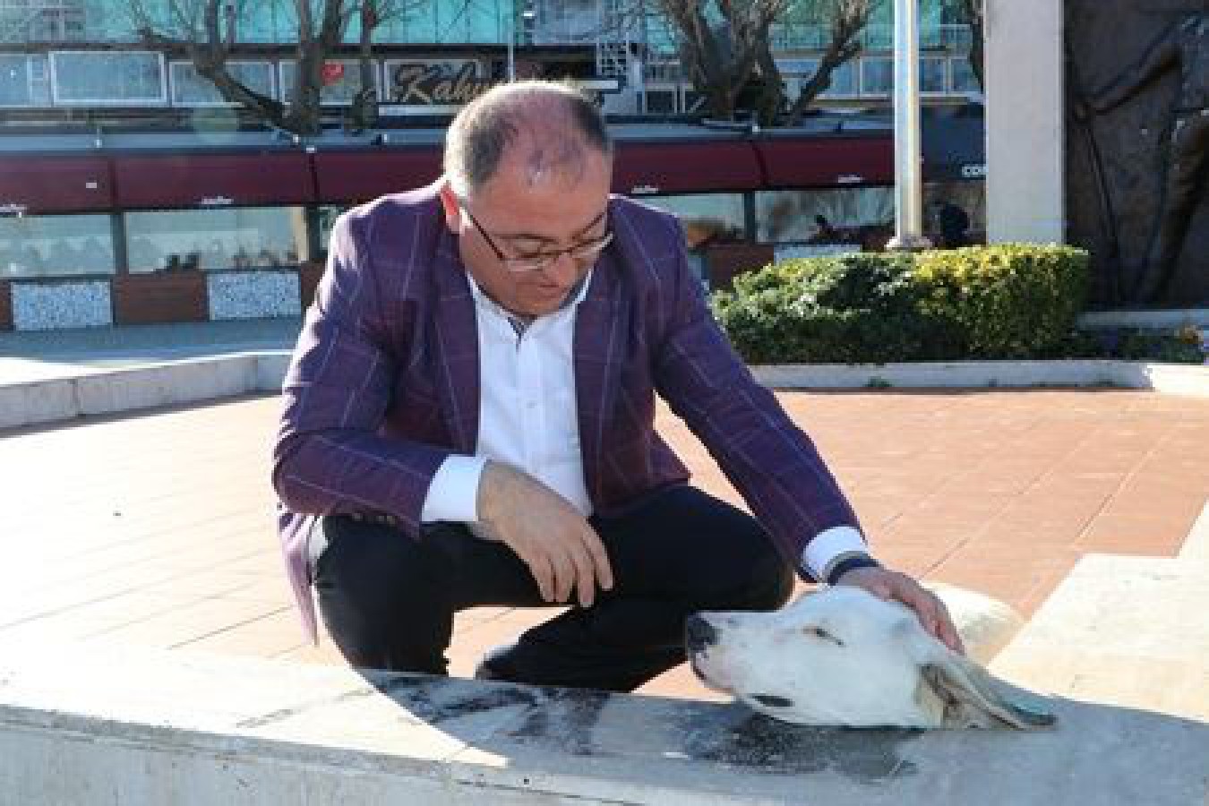 BAŞKAN SALMAN’IN ‘DÜNYA HAYVANLARI KORUMA GÜNÜ’ MESAJI