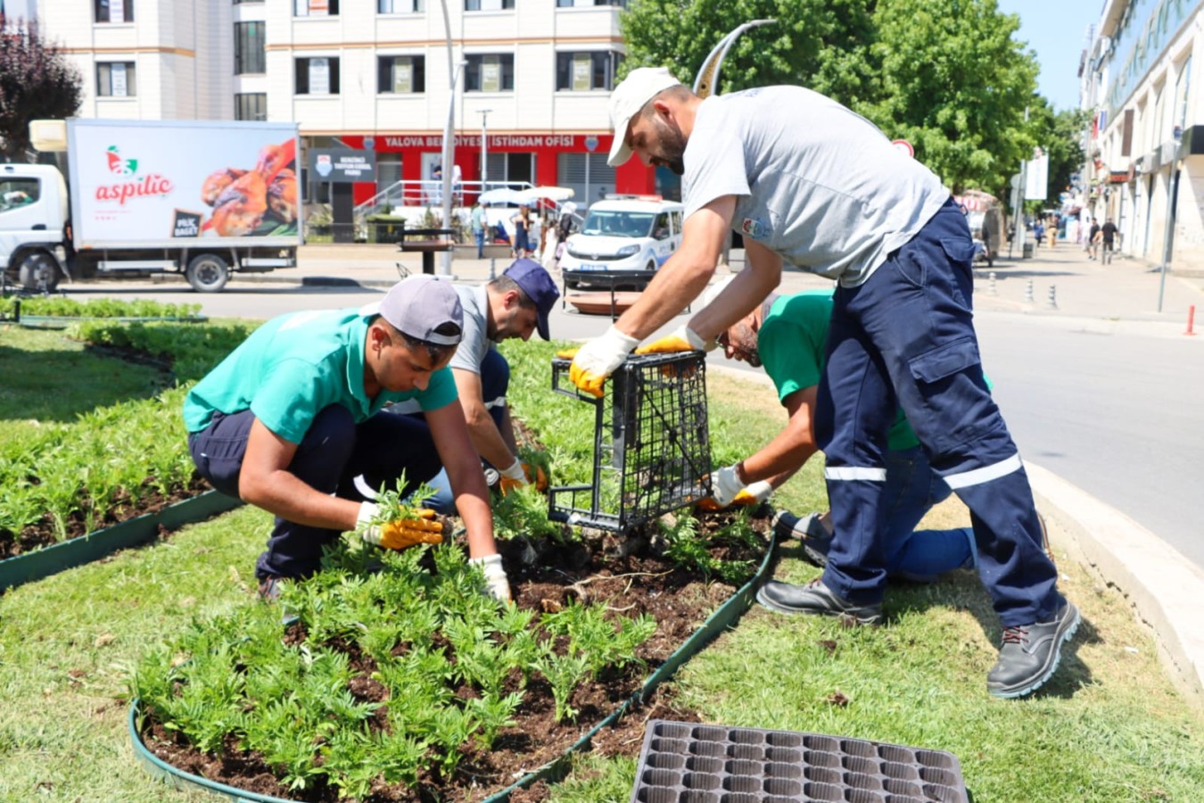 EKİPLERİMİZDEN ÇİÇEK DİKİMİYLE KENTE RENKLİ DOKUNUŞ