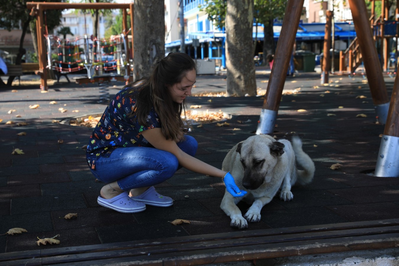 HALK SAĞLIĞI İÇİN ÖNEMLİ OLAN PARAZİTLER İLAÇ UYGULAMALARI KÖPEKLERE YAPILDI