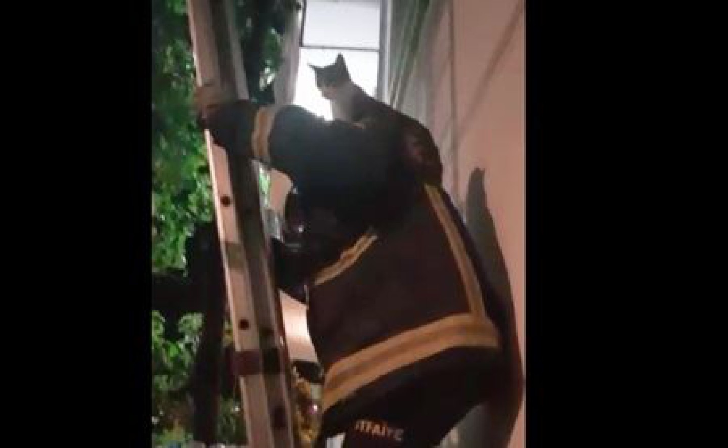 İHBAR BAŞKAN SALMAN’A YAPILDI