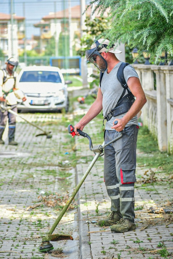 İLAÇLANIYOR, BİÇİLİYOR, TEMİZLENİYOR