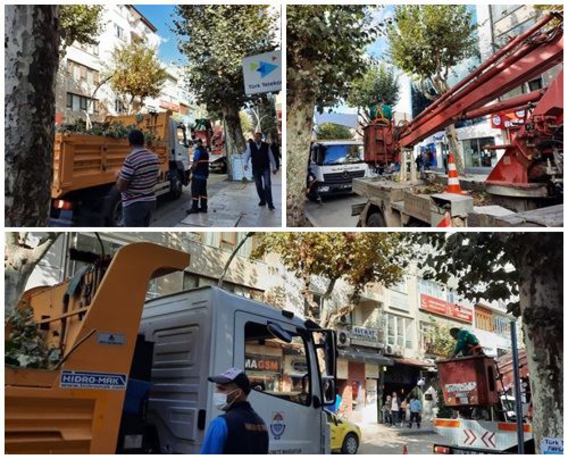 İSTANBUL CADDESİ’NDE BUDAMA ÇALIŞMALARI BAŞLATILDI