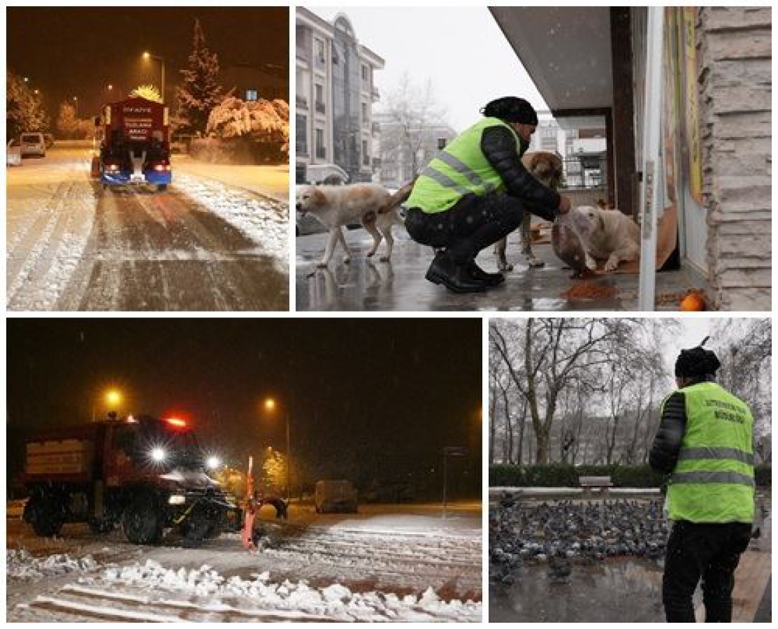 KAR KÜREME, TUZLAMA VE BESLEME ÇALIŞMALARI ARALIKSIZ DEVAM EDİYOR