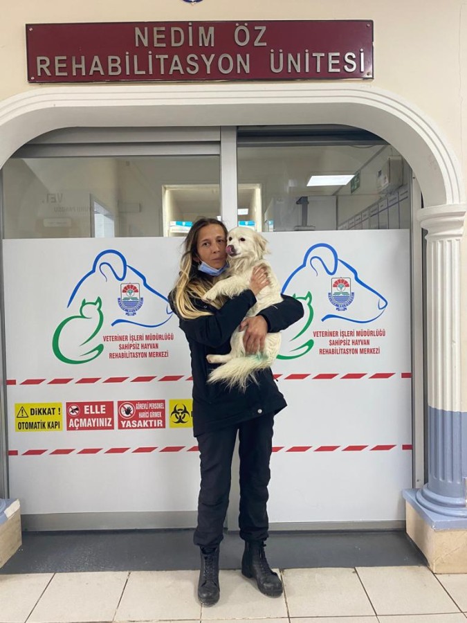 KEDİ VE KÖPEKLERİ SATIN ALMAYIN SAHİPLENİN