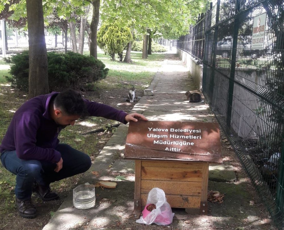 KEDİLER YENİ YUVALARINA KAVUŞTULAR