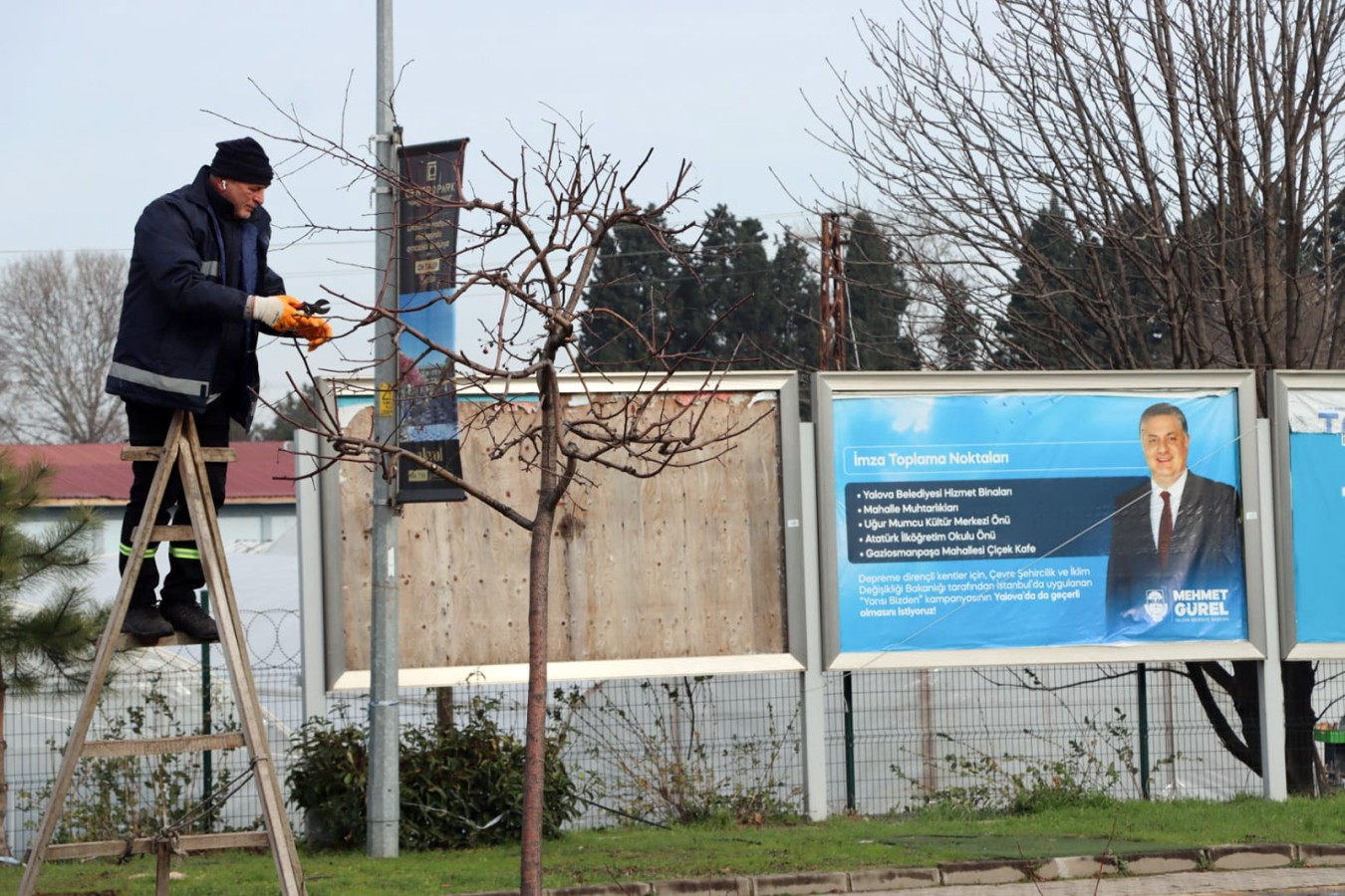 KENT GENELİNDE BUDAMA ÇALIŞMASI YAPILIYOR