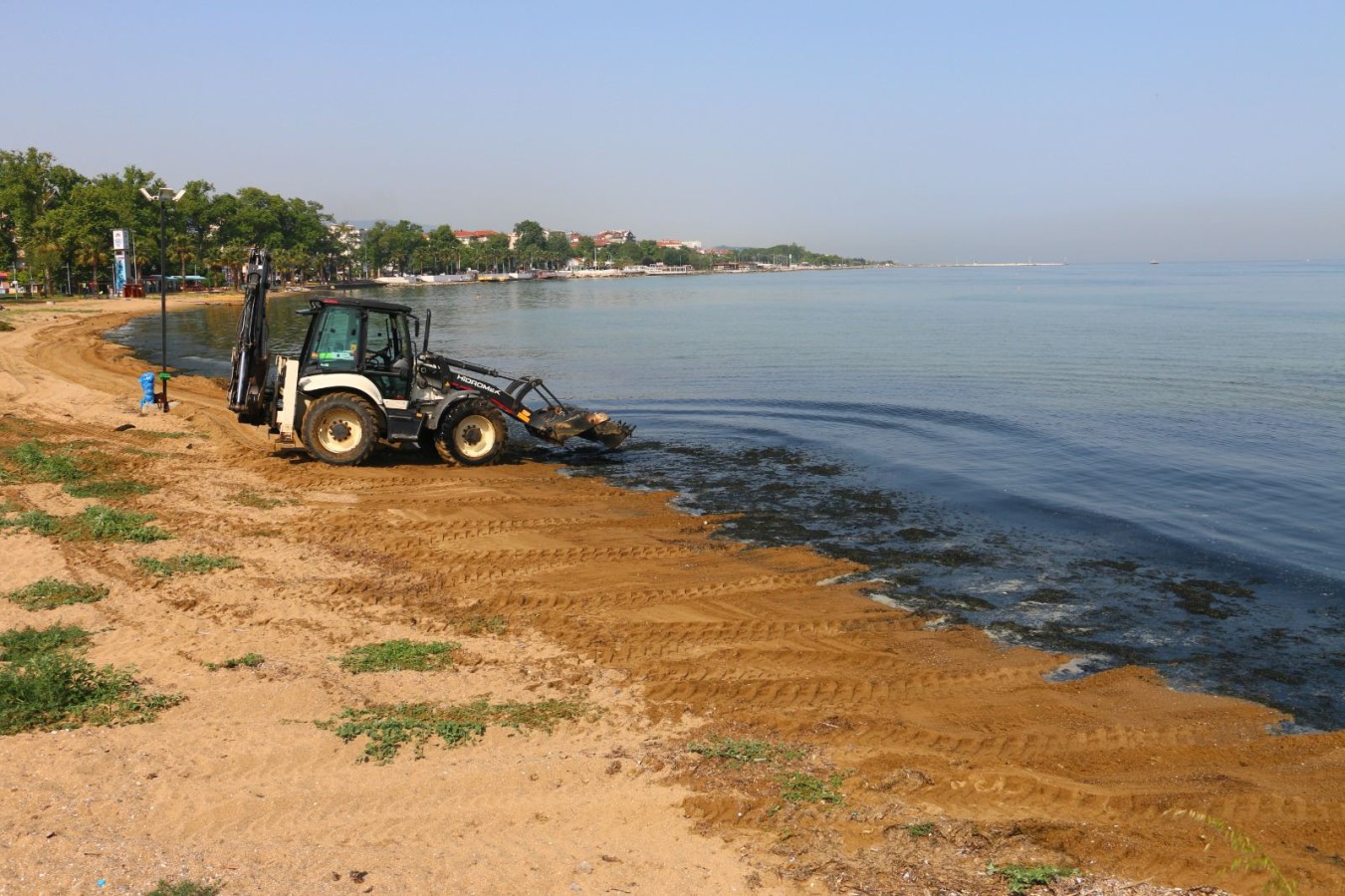 KUMSAL VE YOSUNLAR TEMİZLENİYOR