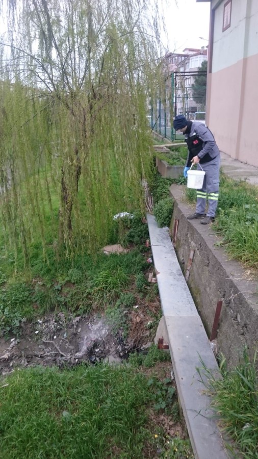 LARVA ODAKLARININ İLAÇLANMASI DEVAM EDİYOR