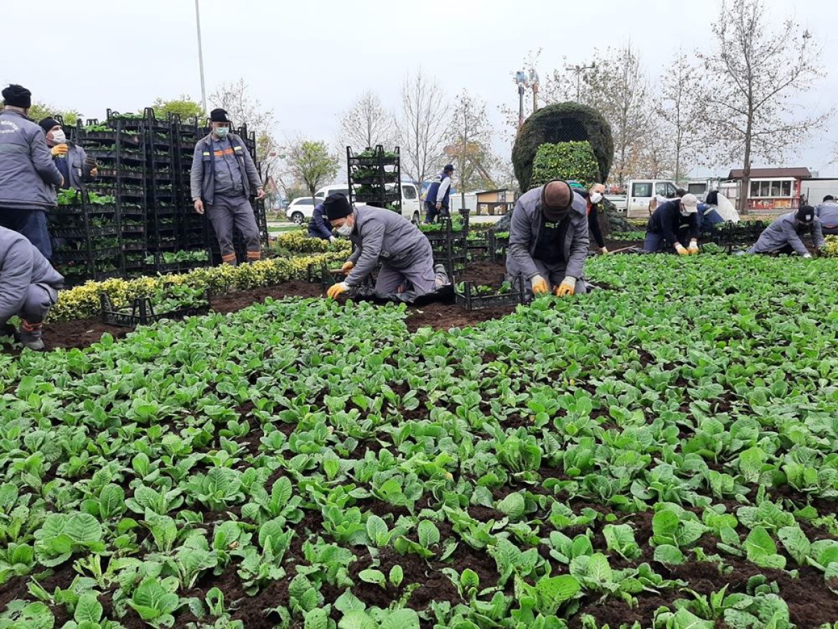 MEVSİMLİKLER ŞEHRE FARKLI HAVA KATTI