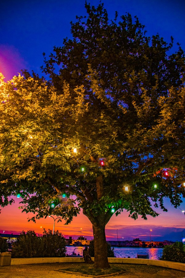 MİHENK SOKAK ÇINARLARINA UFAK DOKUNUŞLAR…