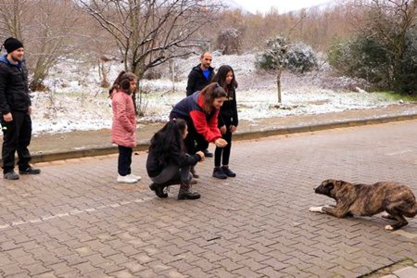 ÖĞRENCİLERLE BİRLİKTE BESLEME YAPILDI