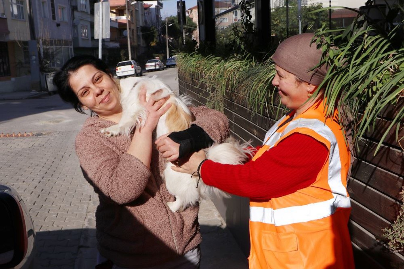 PEKİNEZ CİNSİ KÖPEK AİLESİNE KAVUŞTU