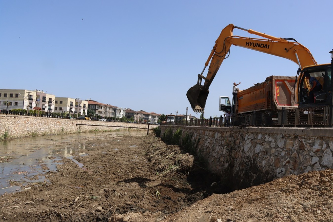 SAFRAN DERESİ TEMİZLENİYOR