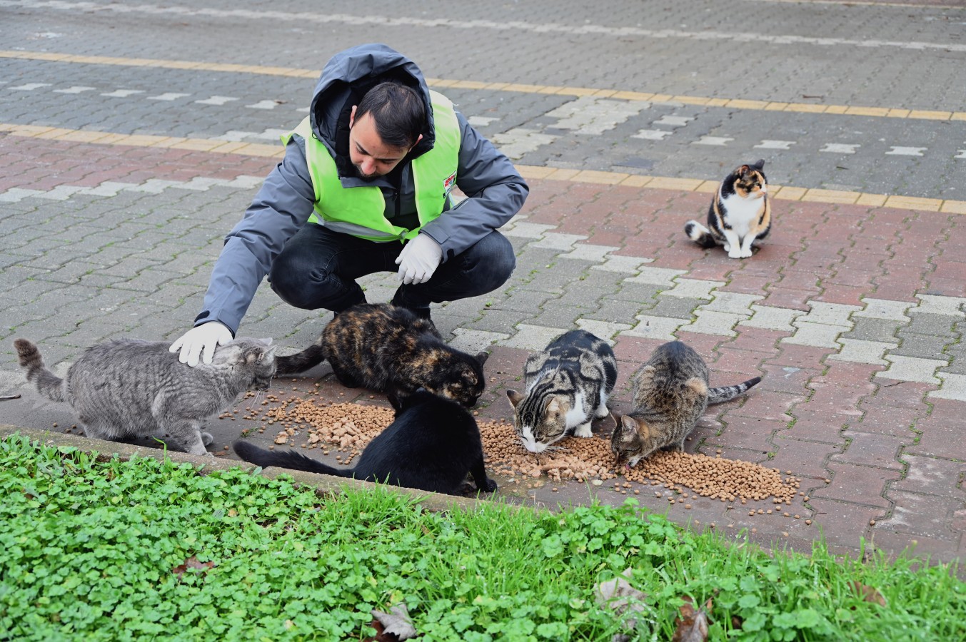 SOKAKTA BULUNAN CAN DOSTLARIMIZ UNUTULMADI