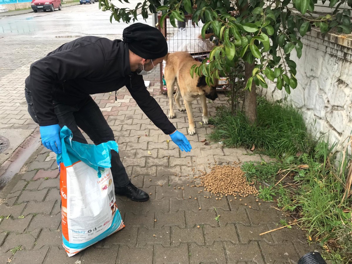 SOKAKTA YAŞAYAN CAN DOSTLARIMIZI UNUTMUYORUZ