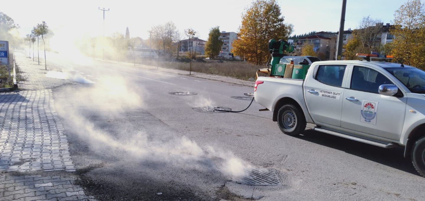 TERMAL SİSLEME İLE İLAÇLAMA YAPILIYOR