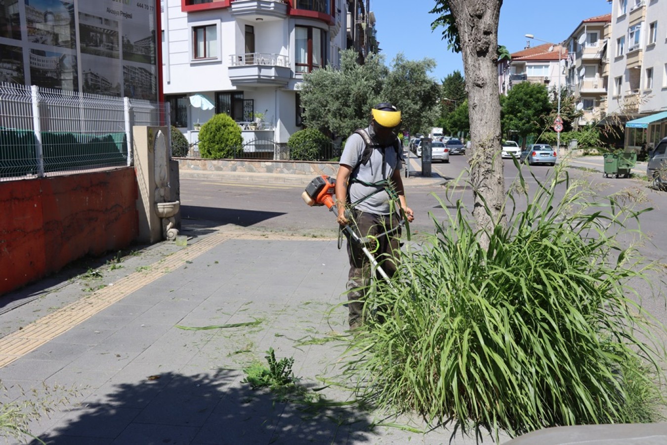 YABANİ OTLA MÜCADELE DEVAM EDİYOR