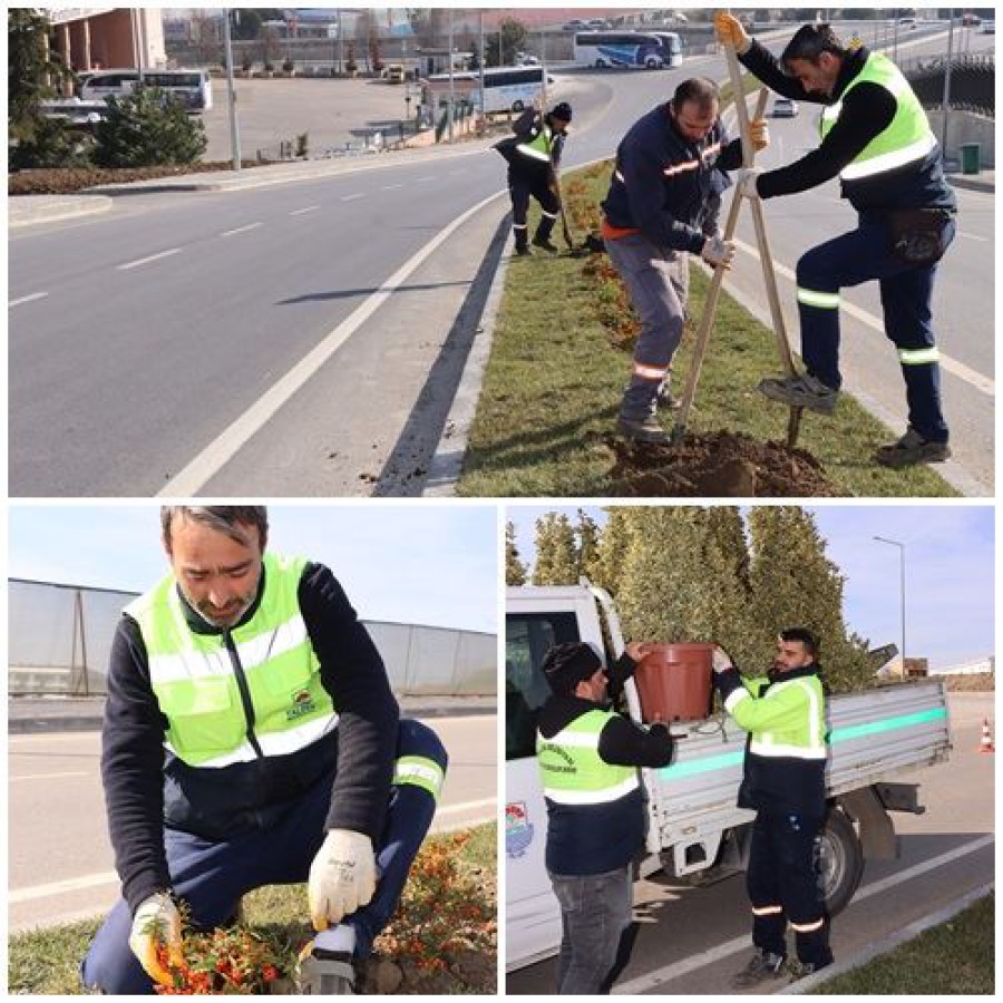 YAKUP ACAR CADDESİ’NDE PEYZAJ ÇALIŞMASI BAŞLATILDI
