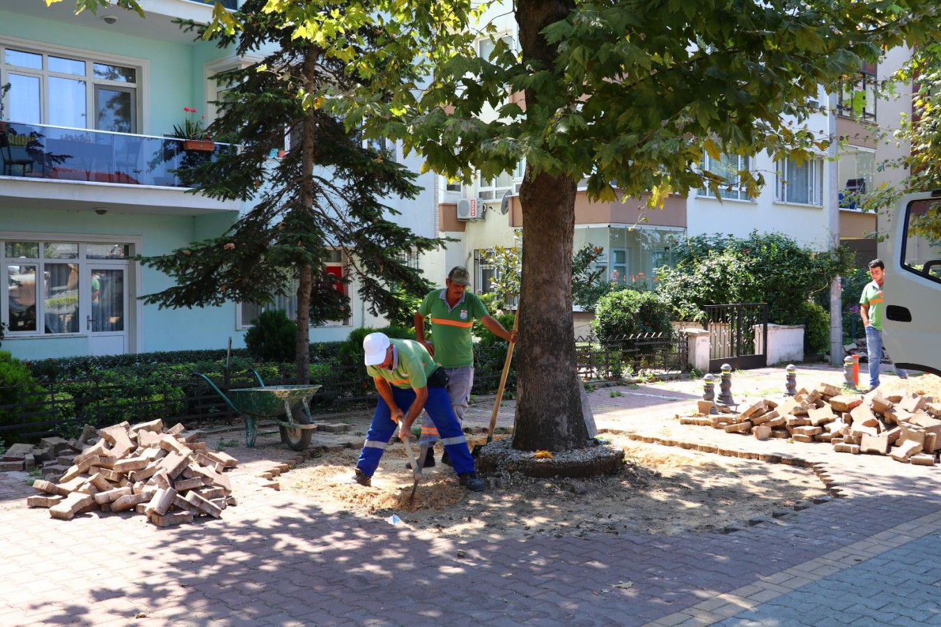 YALOVA BELEDİYESİ ANIT AĞAÇLAR İÇİN ÇALIŞMALARINI SÜRDÜRÜYOR