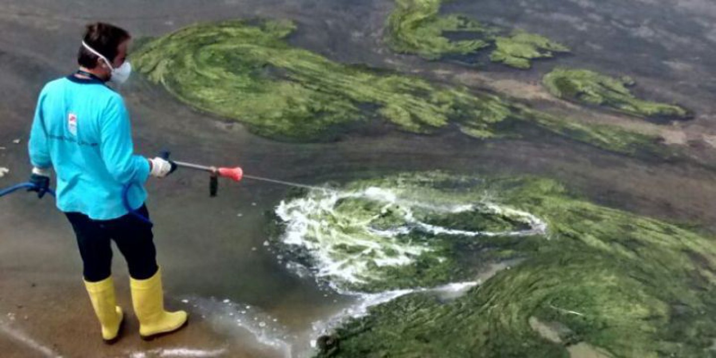 YALOVA BELEDİYESİ, İLAÇLAMA ÇALIŞMALARINI ARALIKSIZ SÜRDÜRÜYOR