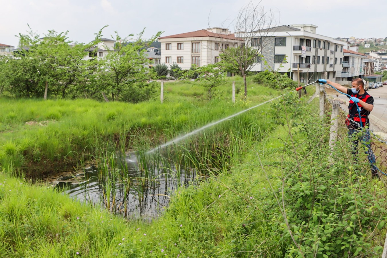 YALOVA BELEDİYESİ, VEKTÖRLE MÜCADELEYE HIZ VERDİ