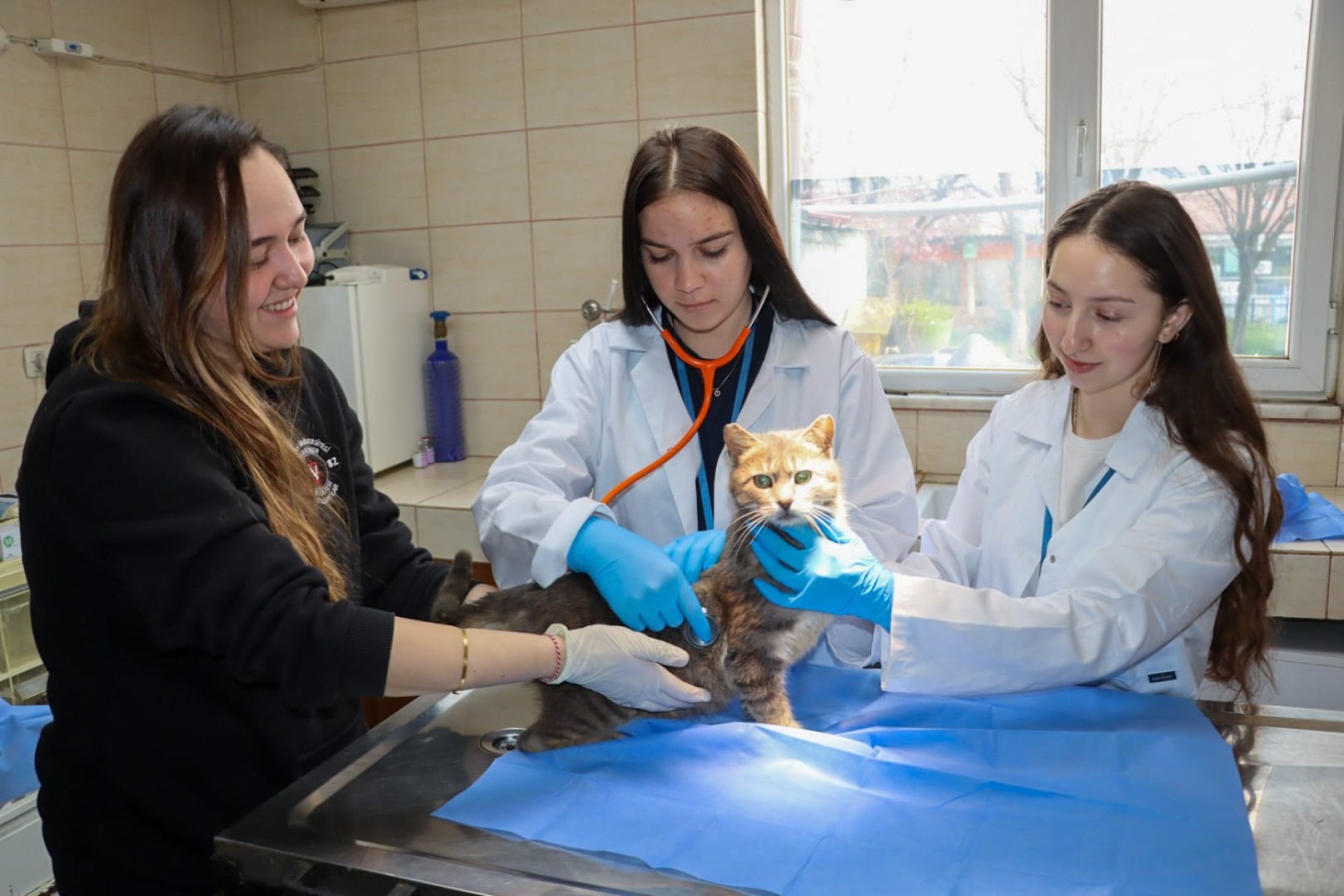 YALOVA BELEDİYESİ’NDEN ERASMUS PROJESİNE DESTEK