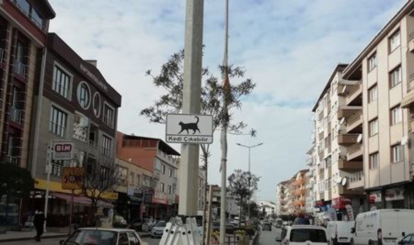 YALOVA BELEDİYESİNDEN SOKAK HAYVANLARI İÇİN UYARI LEVHASI