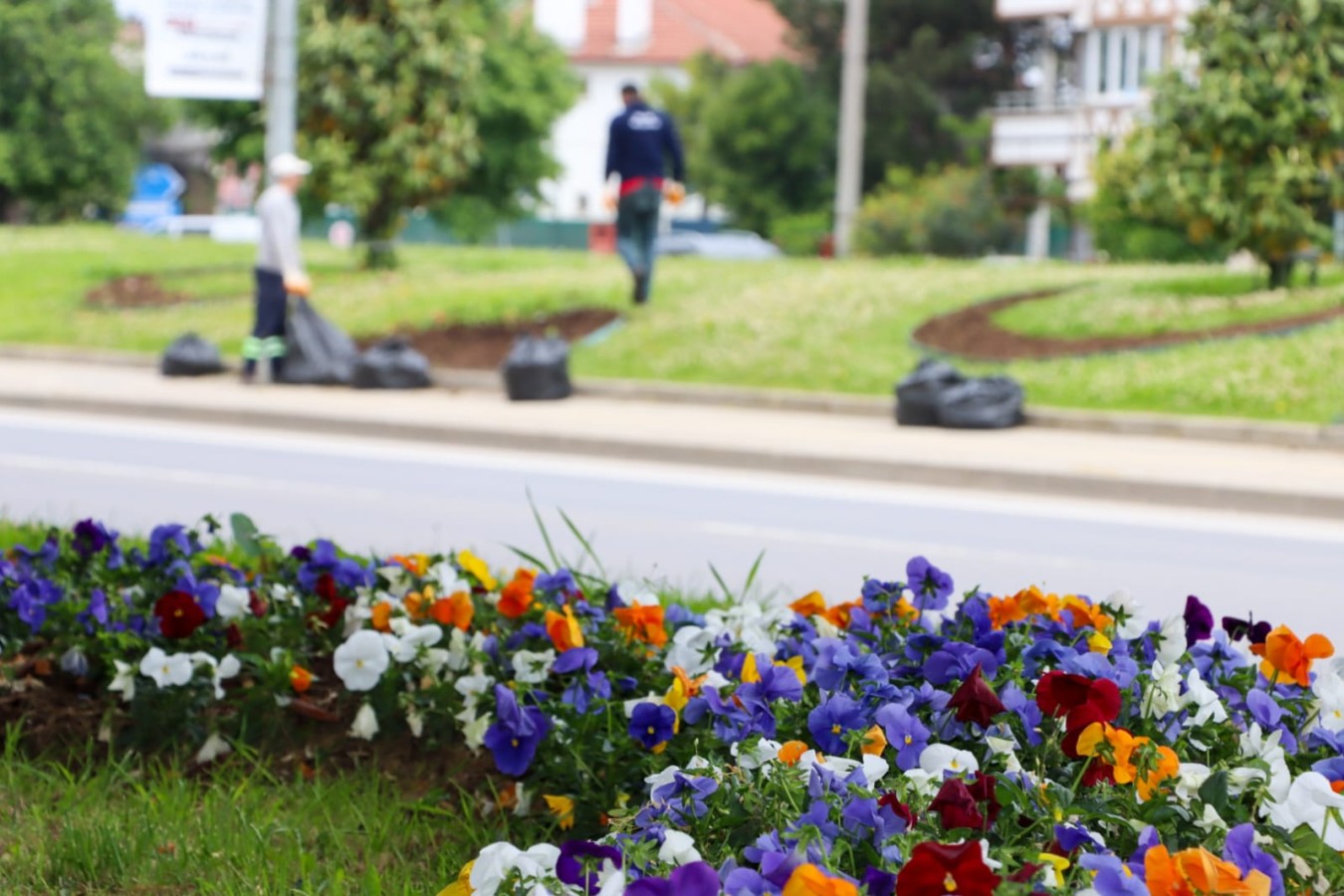 YALOVA ÇİÇEK AÇIYOR