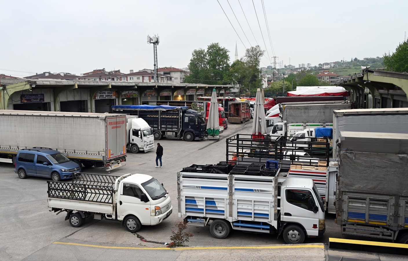 YAŞ SEBZE VE MEYVE HALİ'NDE REKOR TÜKETİM