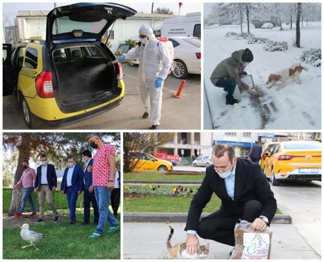 YAŞANILAN PANDEMİDE SOKAK HAYVANLARI UNUTULMADI