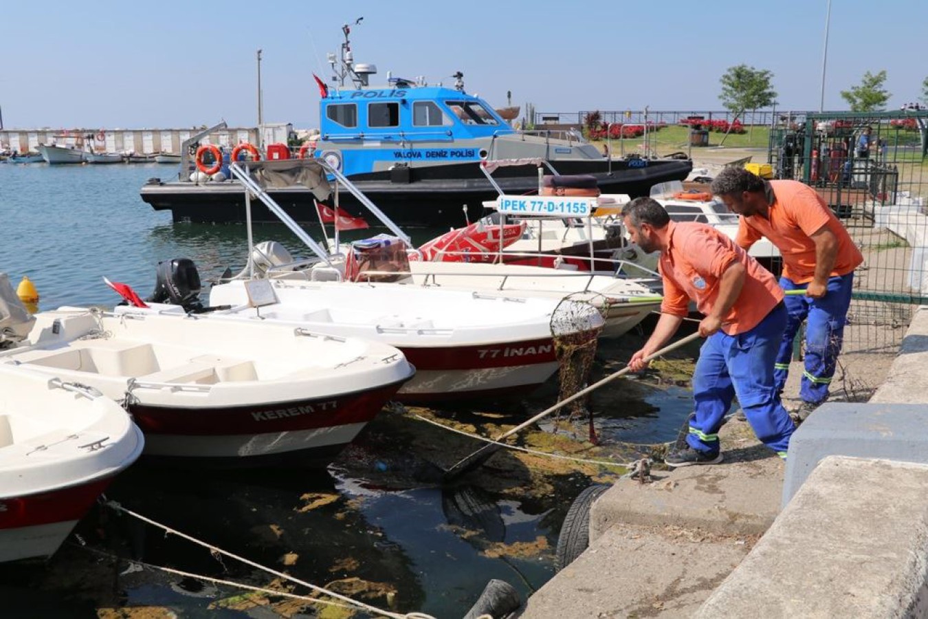 YOSUNLARA KISA SÜREDE MÜDAHALE EDİLDİ