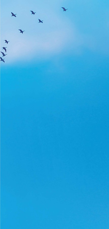 Kentsel Dönüşüm İmza Kampanyası